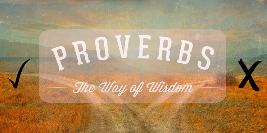 You are reading: A Year of Bible Study on the Book of Proverbs - The Hesed Wisdom Challenge. Get wisdom this year 2018!
